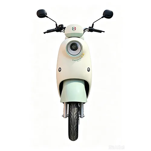 E-BICIKL ESPRESSO, SNAGA MOTORA:250W, MAKSIMALNA BRZINA:25 KM/H